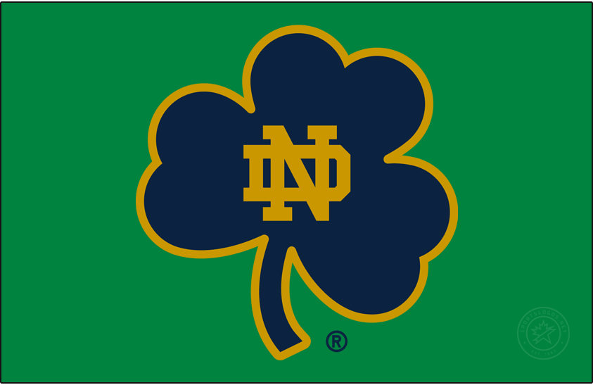 Notre Dame Fighting Irish 2015-Pres Secondary Logo v5 t shirts iron on transfers